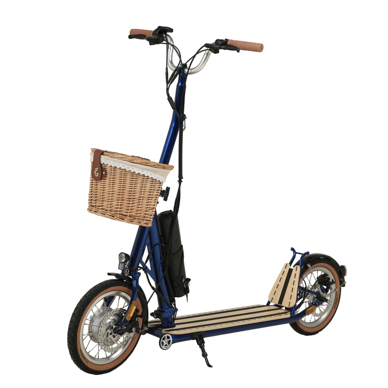 È uno scooter elettrico sulla strada la tendenza generale?